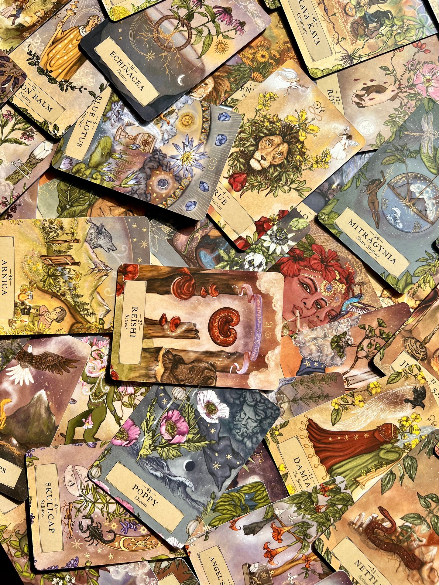Herbal Astrology Oracle Deck Indie Decks