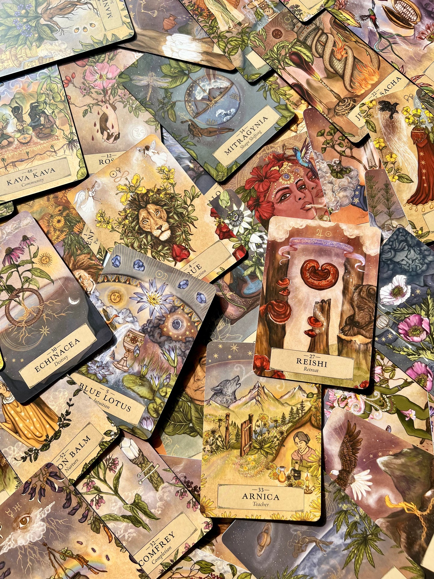 Herbal Astrology Oracle Deck Indie Decks