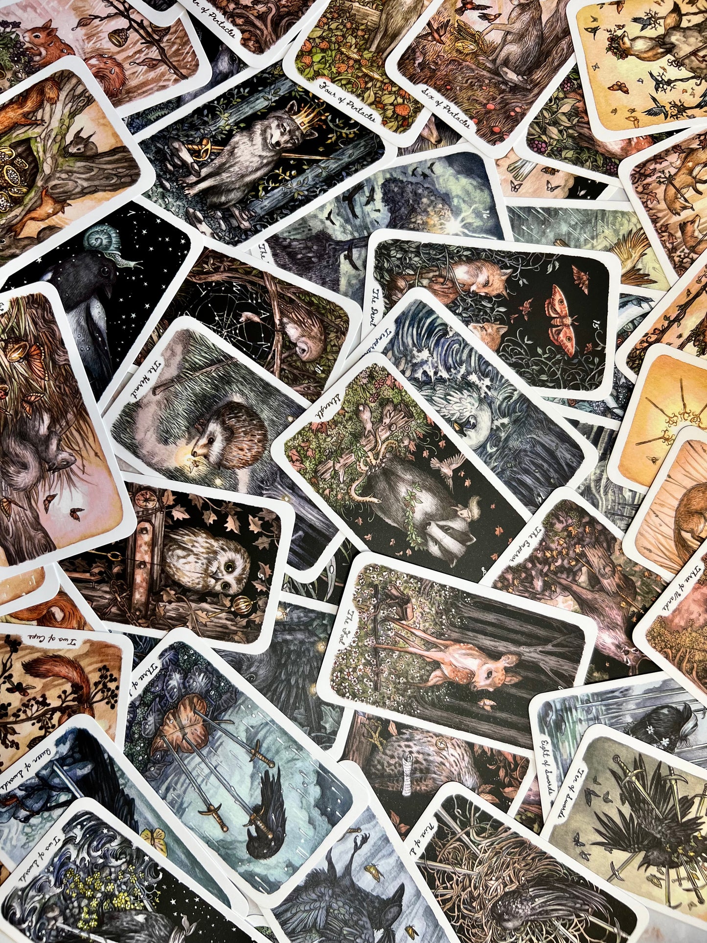 Oak Ash & Thorns Tarot Animal Tarot Deck Indie Tarot Deck Indie Decks Indie Tarot Decks