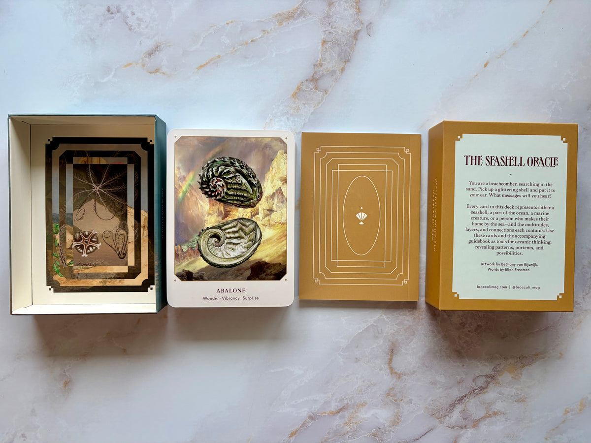 Seashell Oracle Deck from Broccoli Magazine