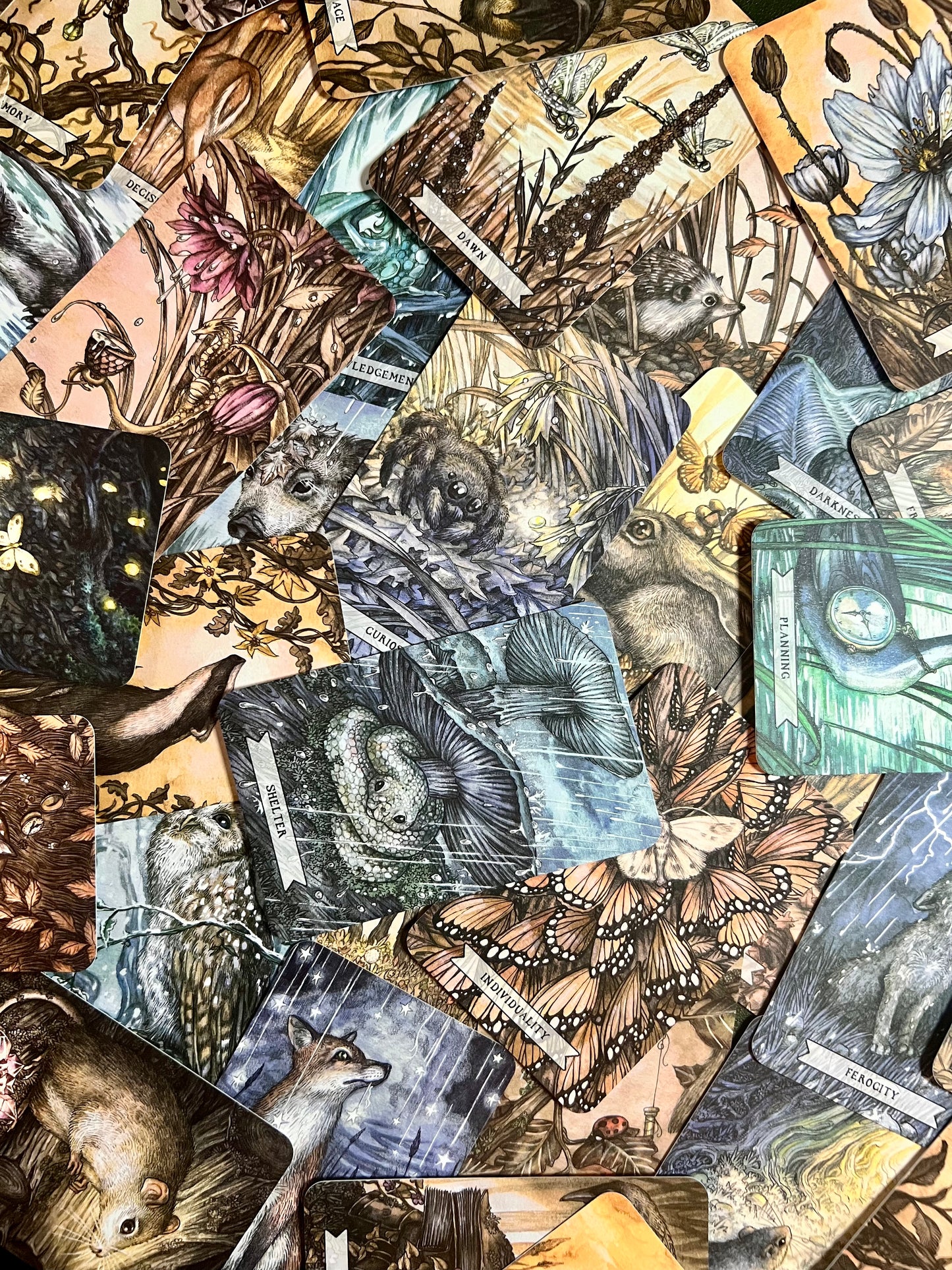 Thistledown Oracle Deck Indie Oracle Deck Indie Decks Indie Oracle Decks Indie Tarot Deck New Indie Deck New Oracle Decks Thistle Down Oracle
