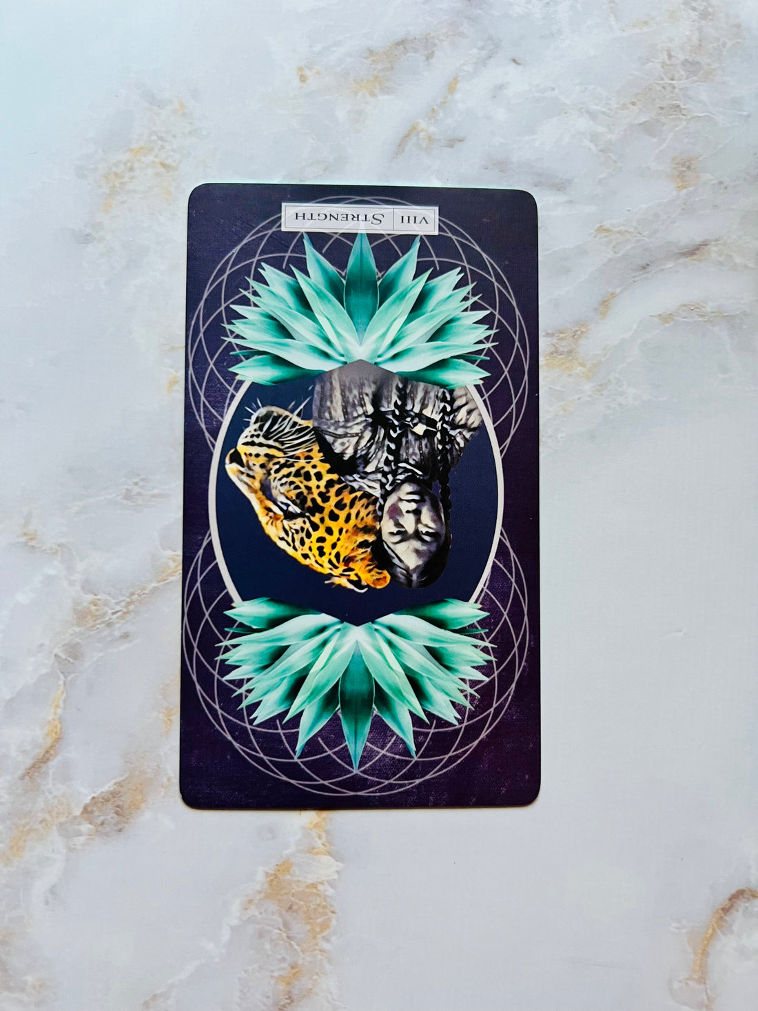 January Tarot Card Reading for the Collective & Monthly Favorites