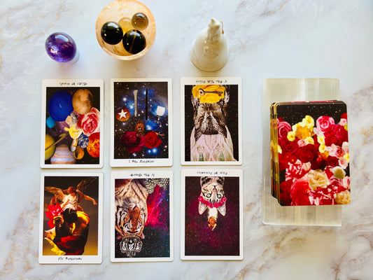 Deck interview spread