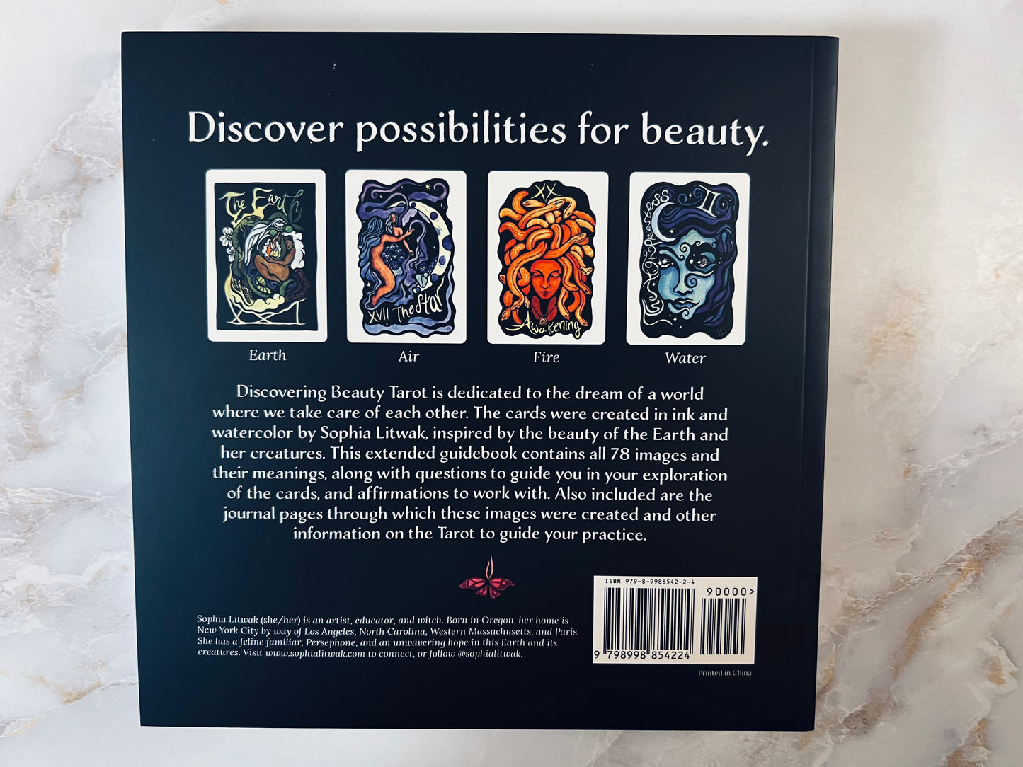 Discovering Beauty Extended Guidebook