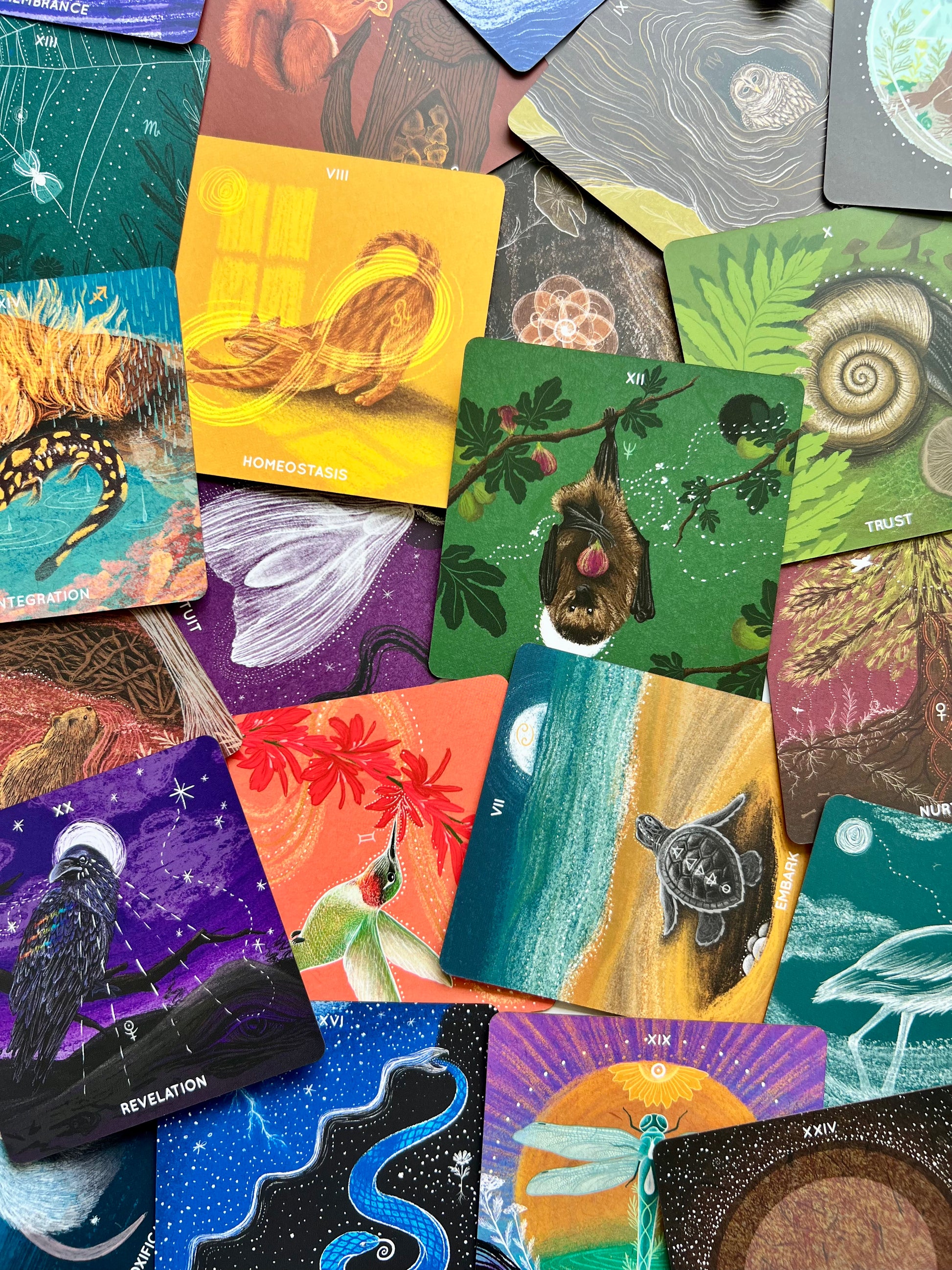 Embodied Ecosystems Tarot Oracle Deck Embodied Ecosystems Tarot Deck Embodied Ecosystems Oracle Deck Emodied Ecosystems Tar-oracle Deck Nature Tarot Deck