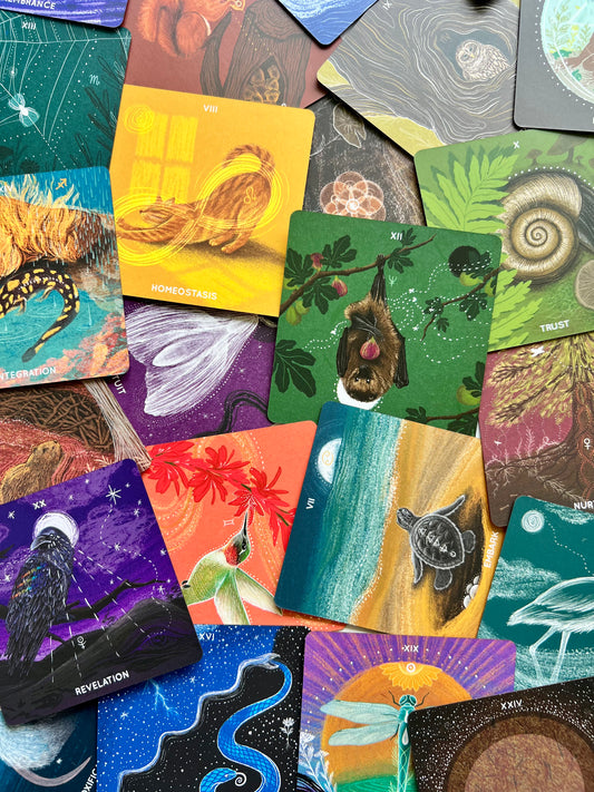 Embodied Ecosystems Tarot Oracle Deck Embodied Ecosystems Tarot Deck Embodied Ecosystems Oracle Deck Emodied Ecosystems Tar-oracle Deck Nature Tarot Deck