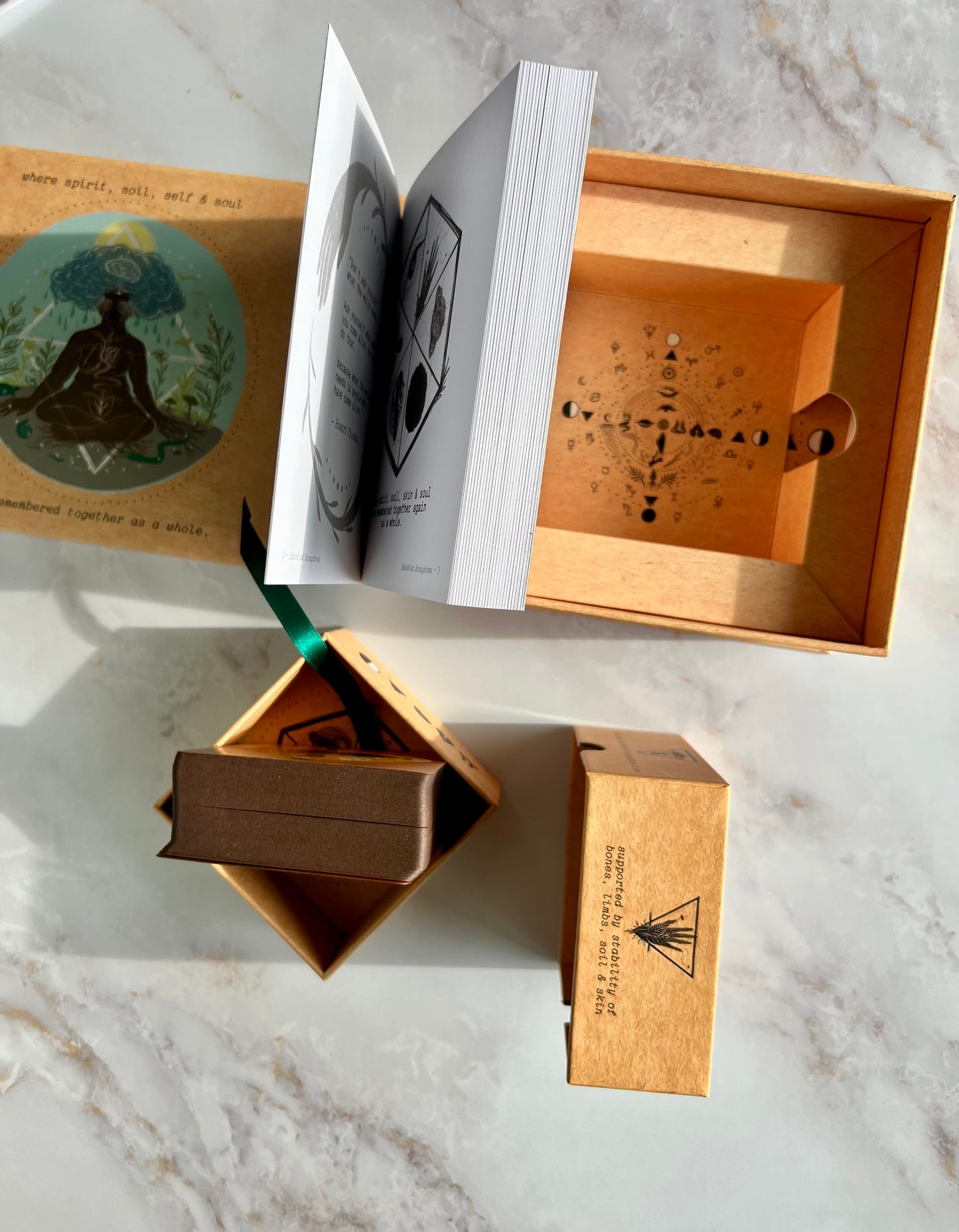 Embodied Ecosystems Tarot Oracle Deck Embodied Ecosystems Tarot Deck Embodied Ecosystems Oracle Deck Emodied Ecosystems Tar-oracle Deck Nature Tarot Deck
