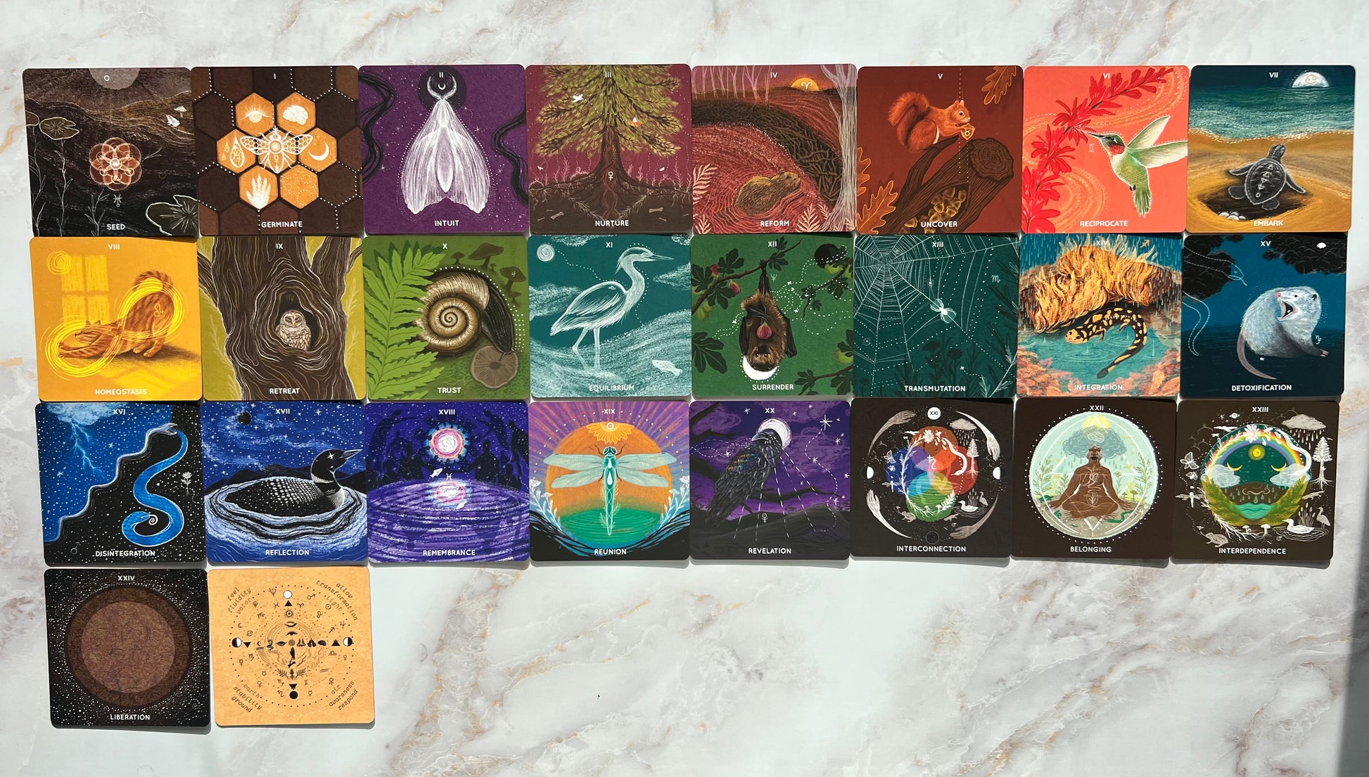 Embodied Ecosystems Tarot Oracle Deck Embodied Ecosystems Tarot Deck Embodied Ecosystems Oracle Deck Emodied Ecosystems Tar-oracle Deck Nature Tarot Deck