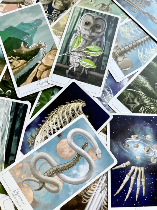 Energy Archaeology Oracle Deck Skeleton Bone Cards Indie Oracle Deck