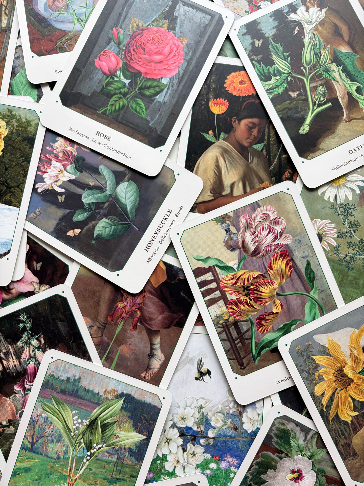 Flower Oracle Deck from Broccoli Magazine
