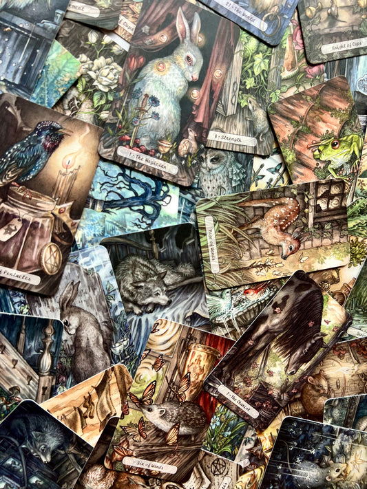 Heartwood Tarot Deck Three Trees Tarot Deck Indie Tarot Deck Indie Tarot Decks Indie Decks Indie Deck Heart Wood Tarot Deck