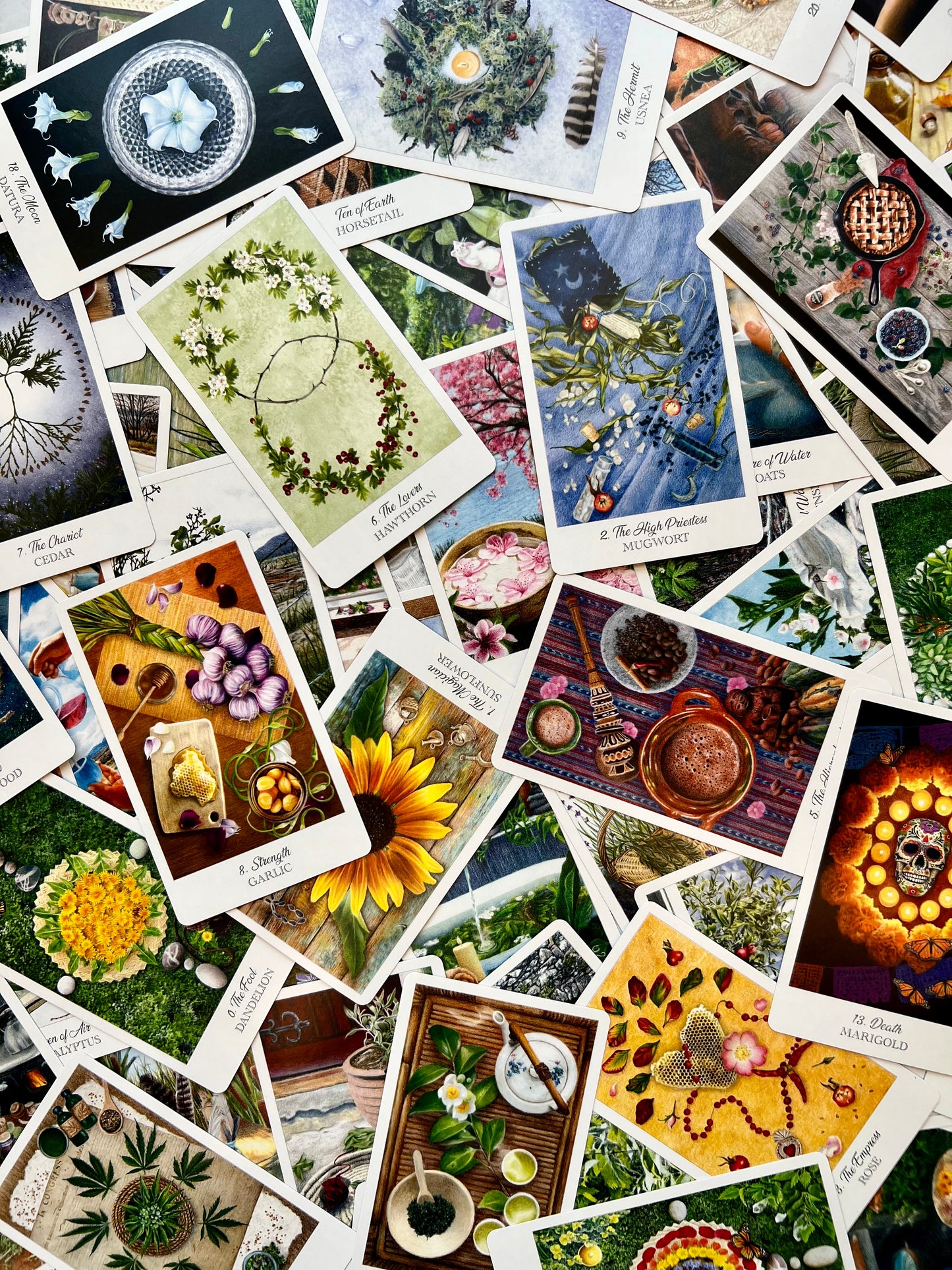 Herbcrafter's Tarot Deck Herbology Tarot Deck Tarot Decks for Herbalists Nature Tarot Deck