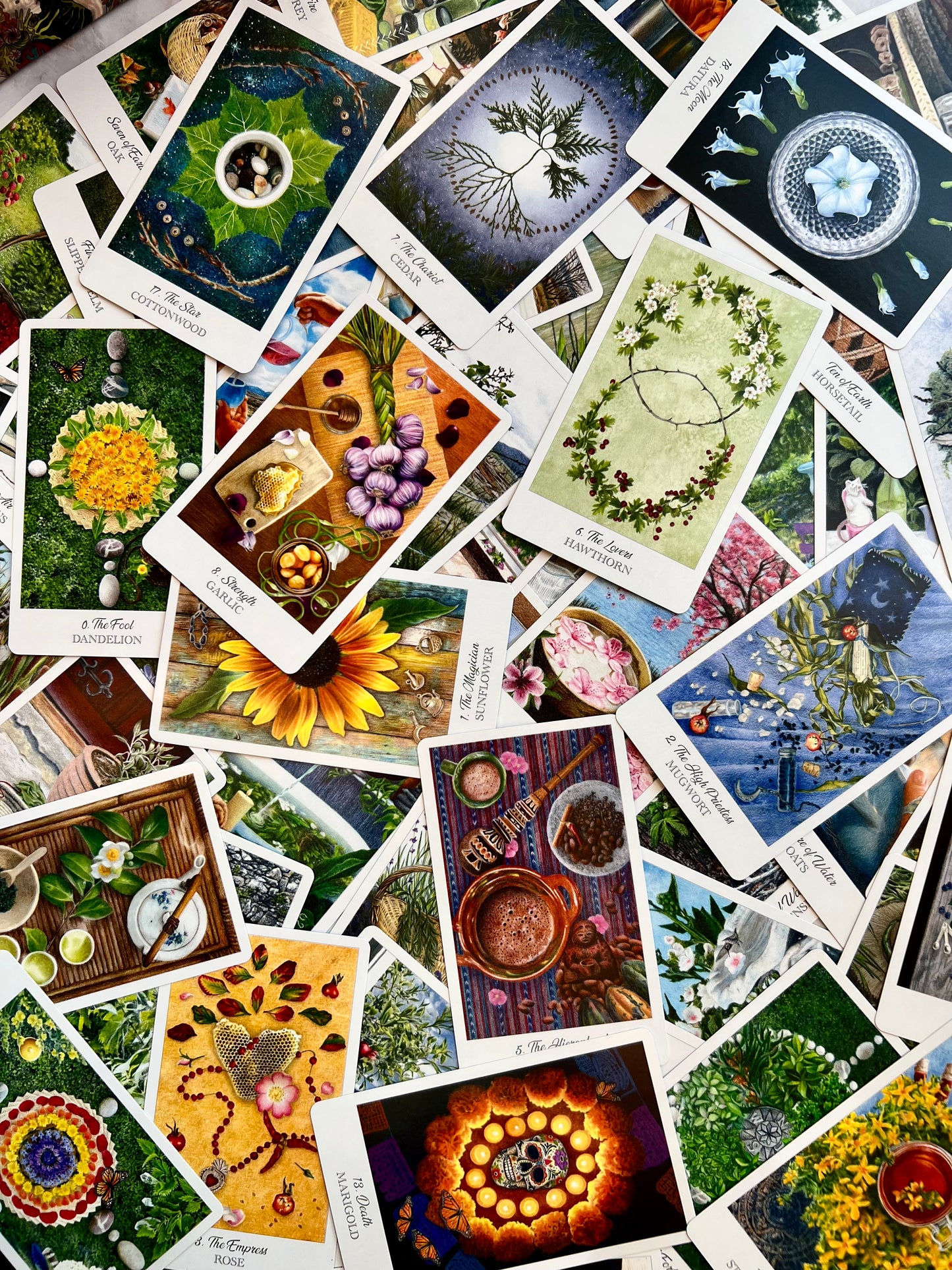 Herbcrafter's Tarot Deck Herbology Tarot Deck Tarot Decks for Herbalists Nature Tarot Deck