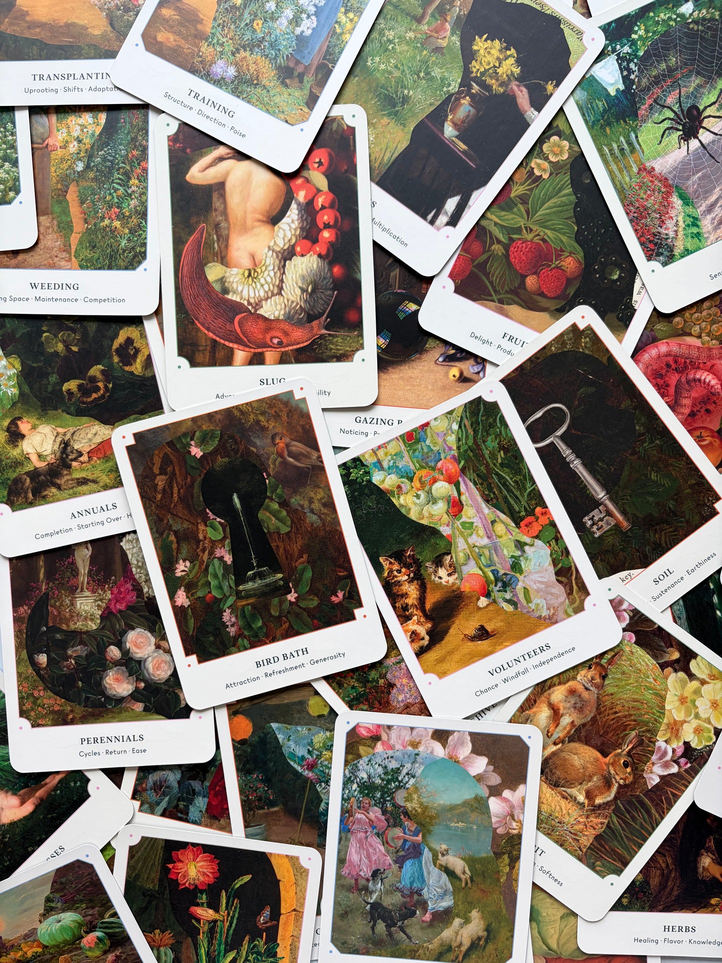 Garden Oracle Deck