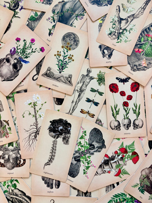 Oracle of Oddities Oracle Deck