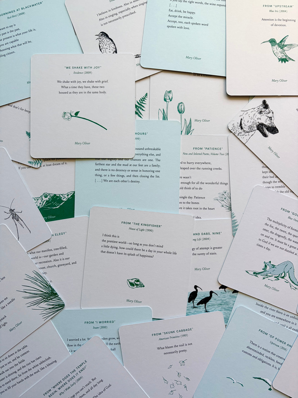 Instructions for Living: Mary Oliver A Deck for Daily Devotions