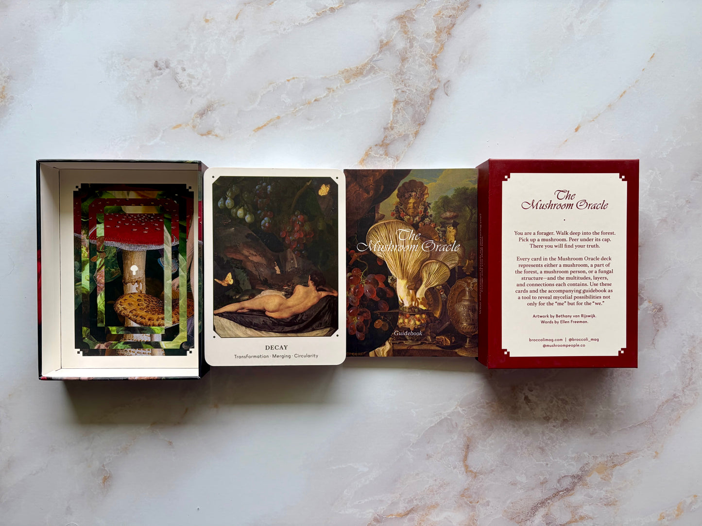 Mushroom Oracle Deck