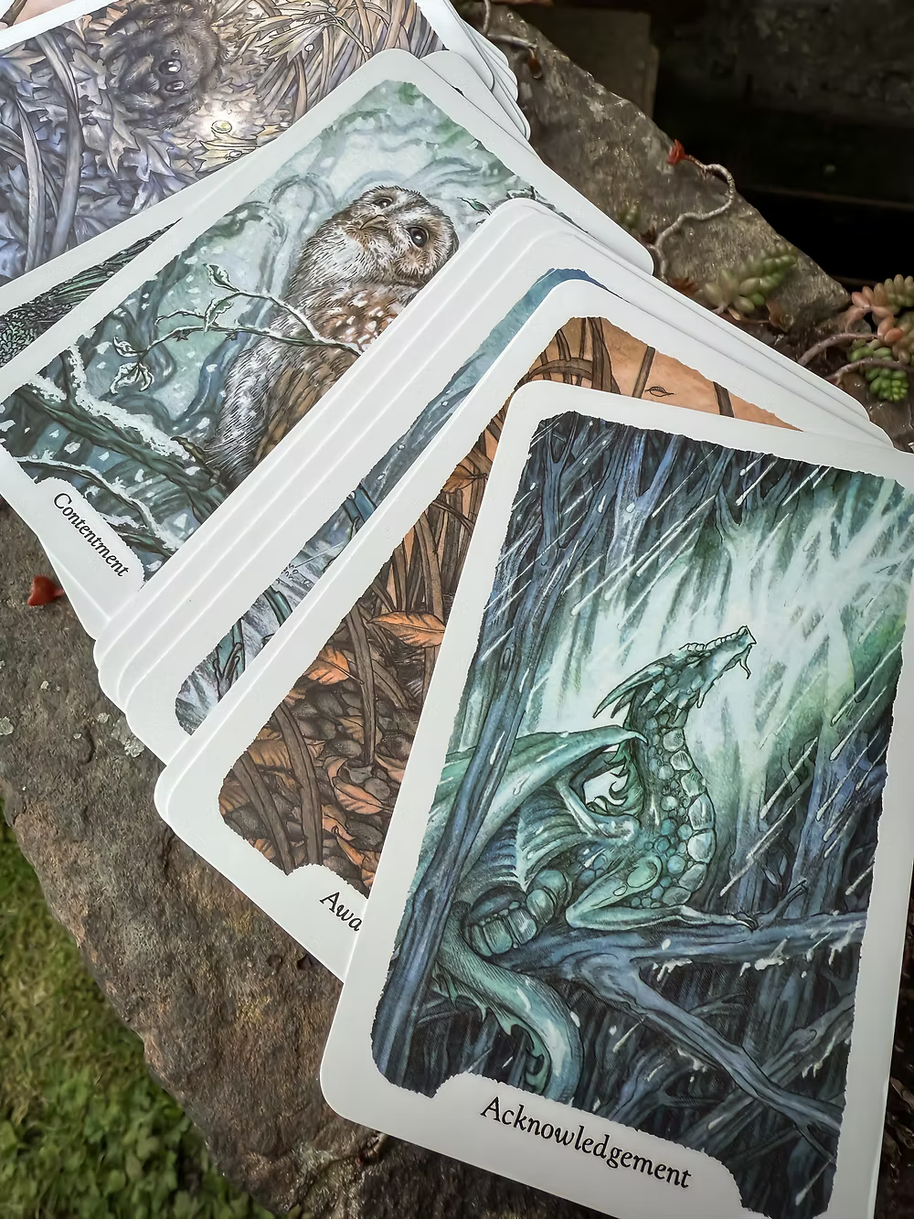 Thistledown Oracle Deck Three Trees Tarot