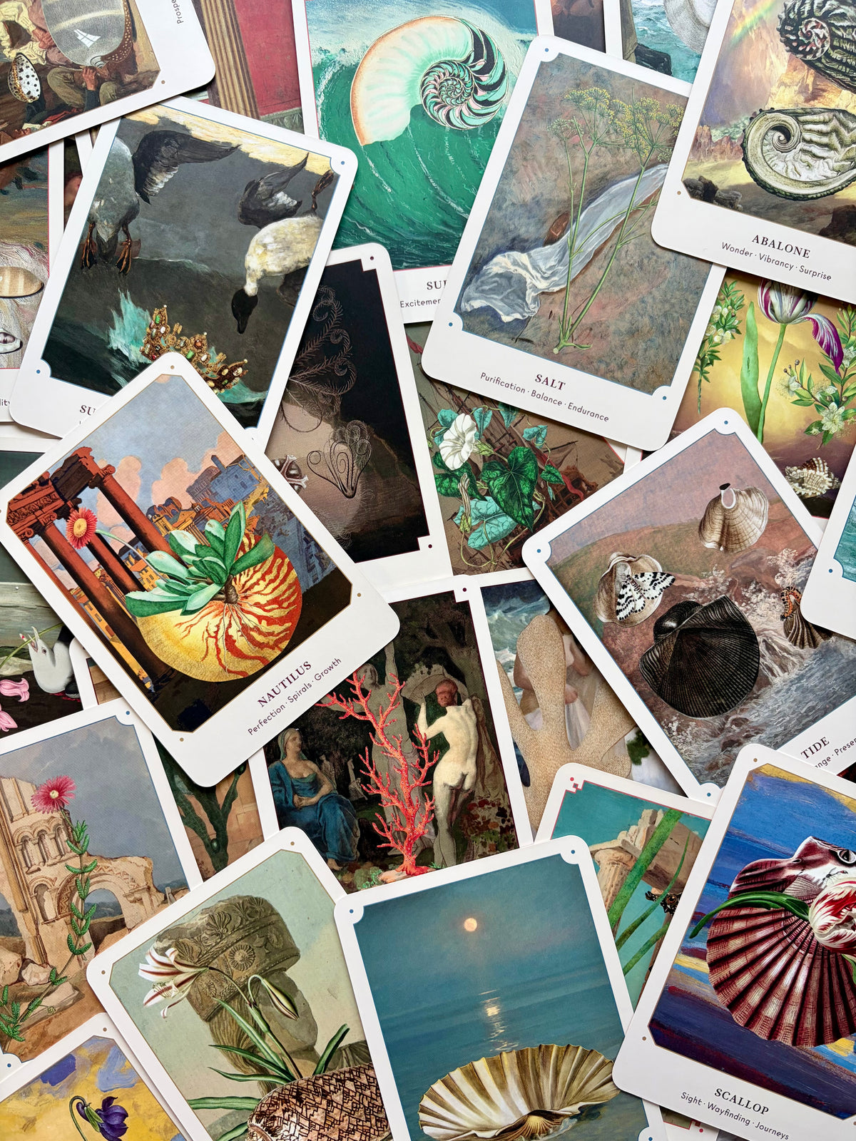 Seashell Oracle Deck from Broccoli Magazine