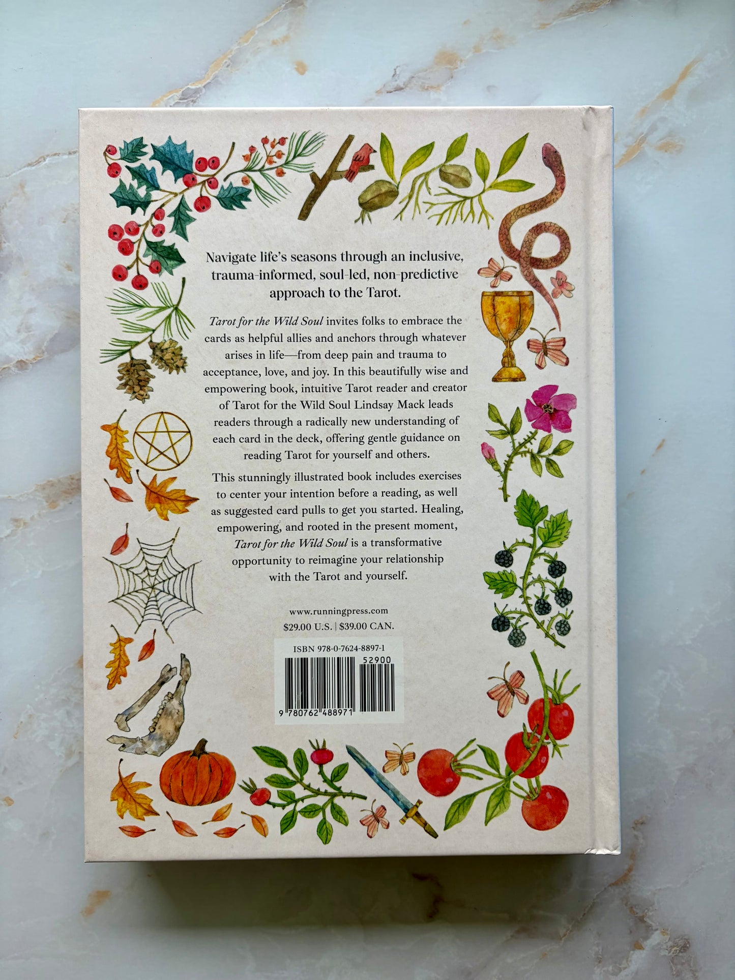 Tarot for the Wild Soul Book by Lindsay Mack