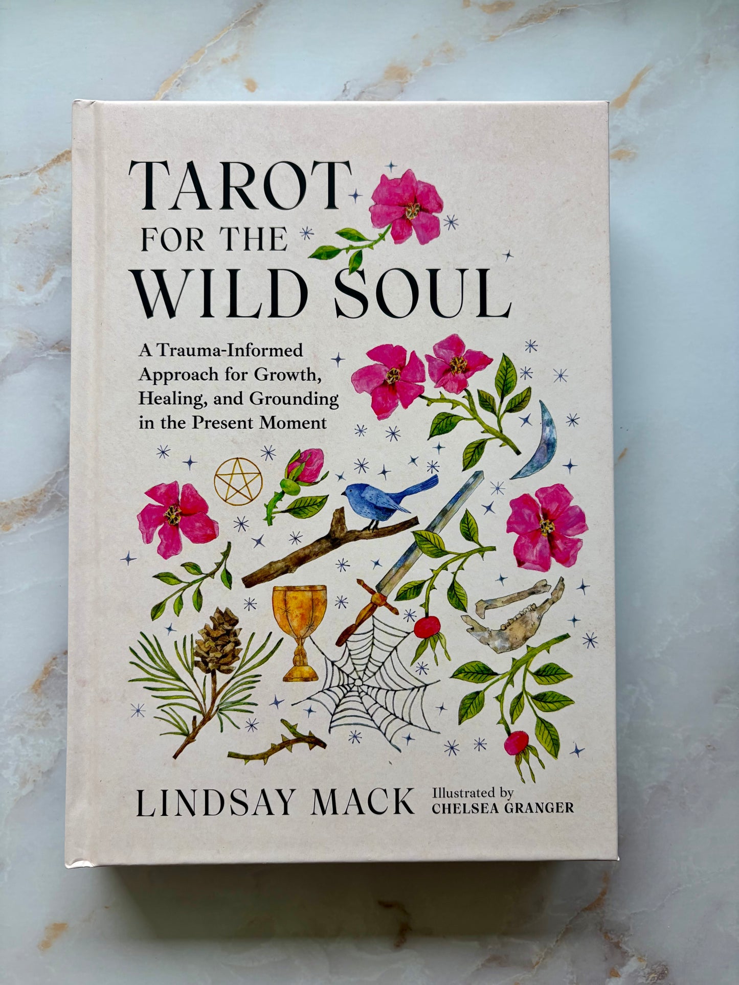 Tarot for the Wild Soul Book by Lindsay Mack