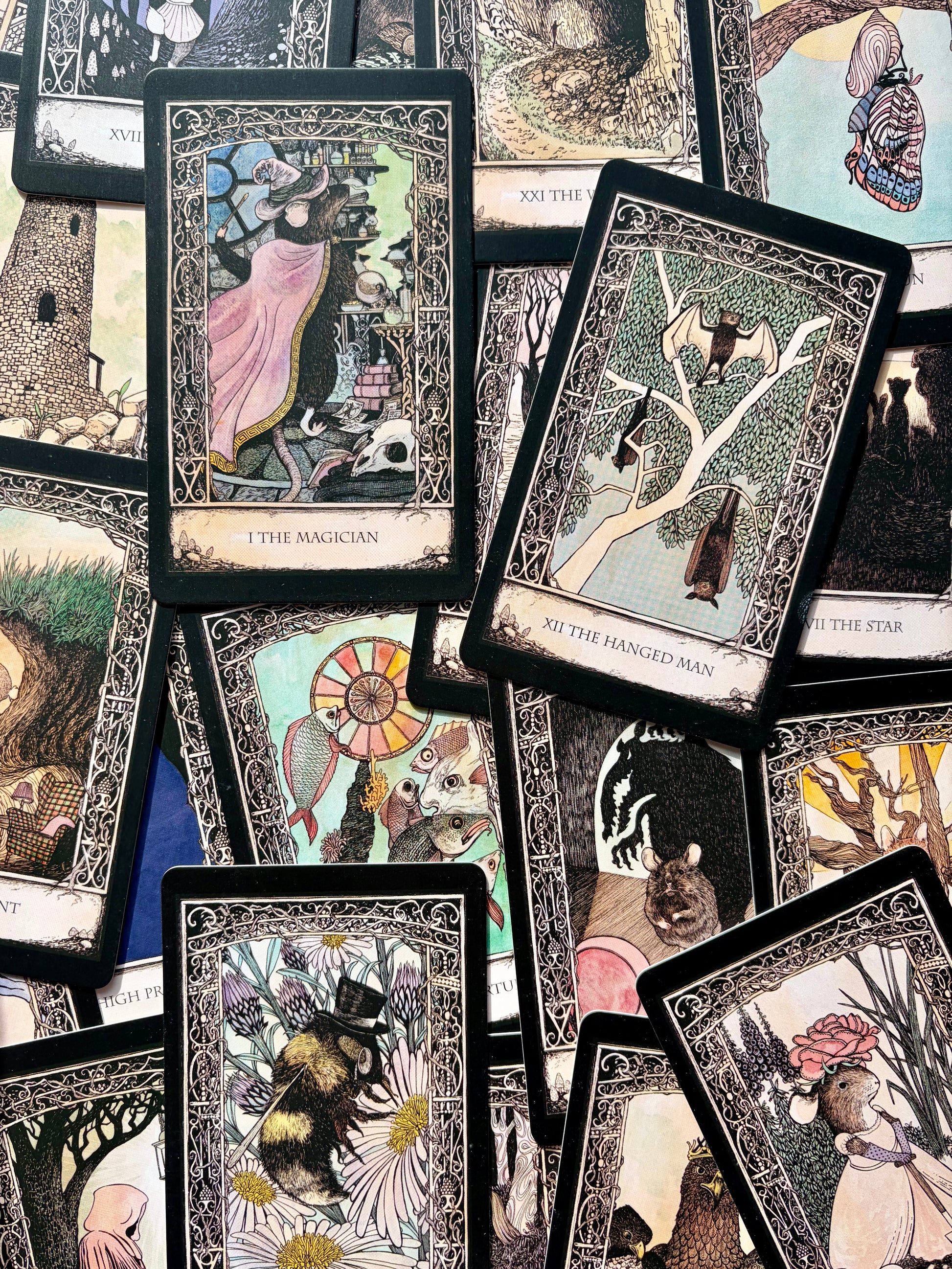 Tarot of Tales Tarot Deck Deluxe Box Set