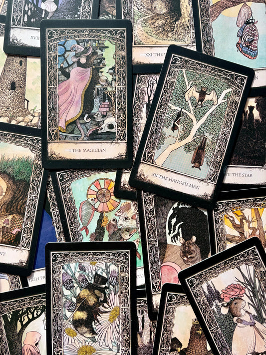 Tarot of Tales Tarot Deck Deluxe Box Set