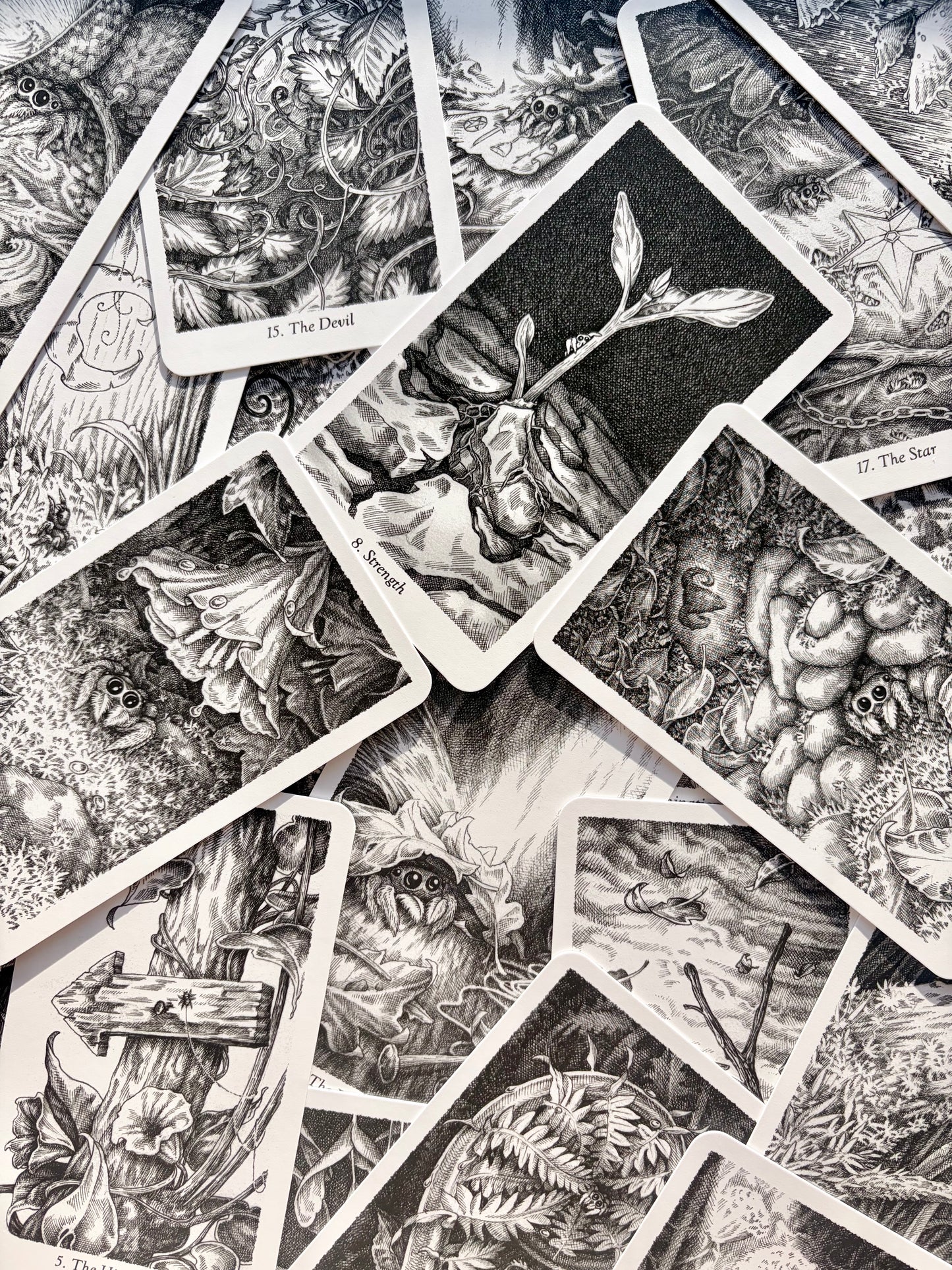 Winding Tarot Deck