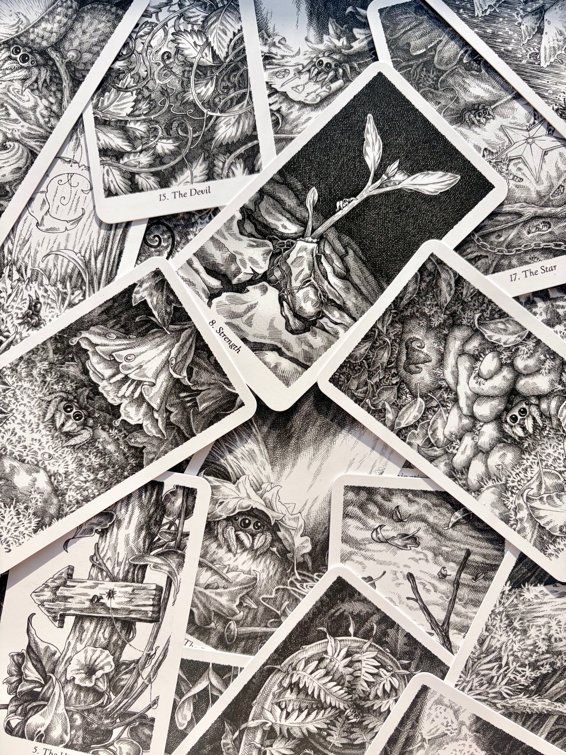 Winding Tarot Deck