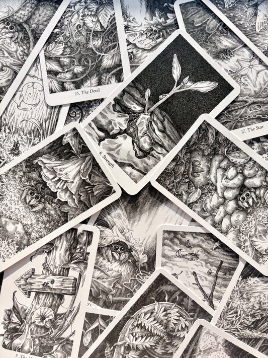 Winding Tarot Deck