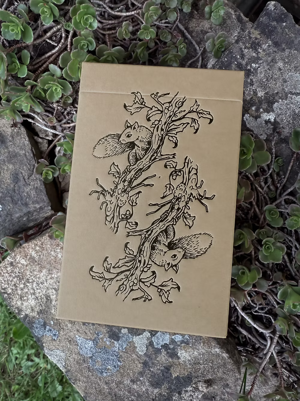 Thistledown Oracle Deck Three Trees Tarot