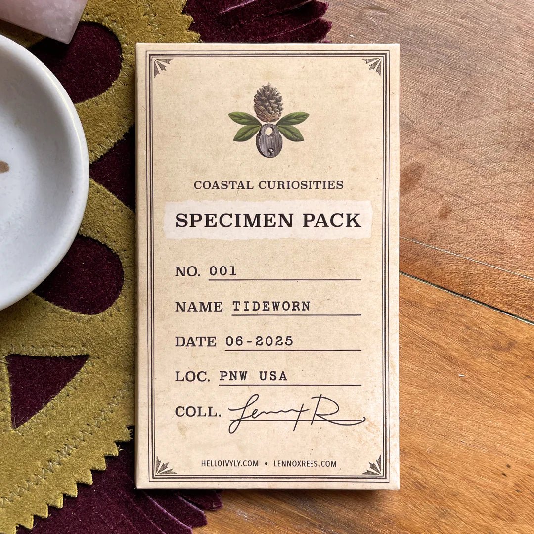 Coastal Curiosities Specimen Pack - A Riffle In Time