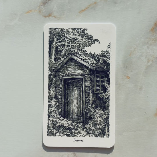 Winding Tarot Deck Three Trees Spider Tarot Deck