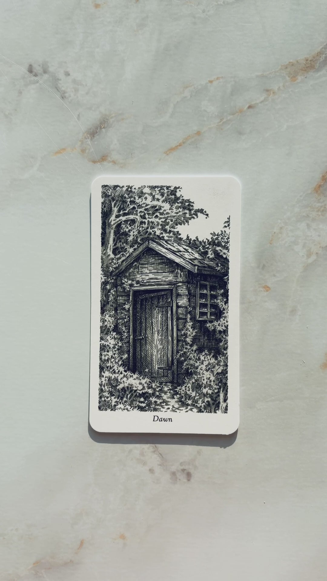 Winding Tarot Deck Three Trees Spider Tarot Deck